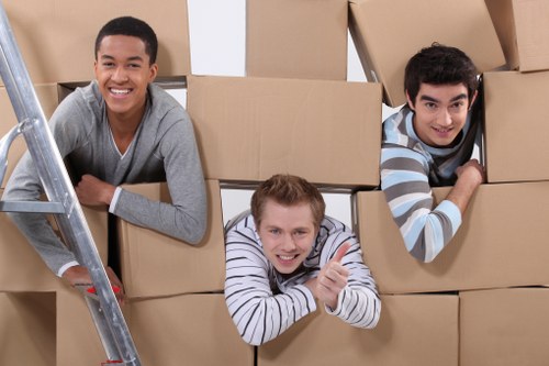 decluttering and seasonal household storage in Fortisgreen