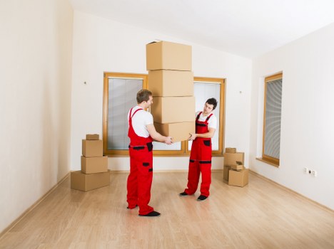 E-commerce and office storage setup in Fortisgreen
